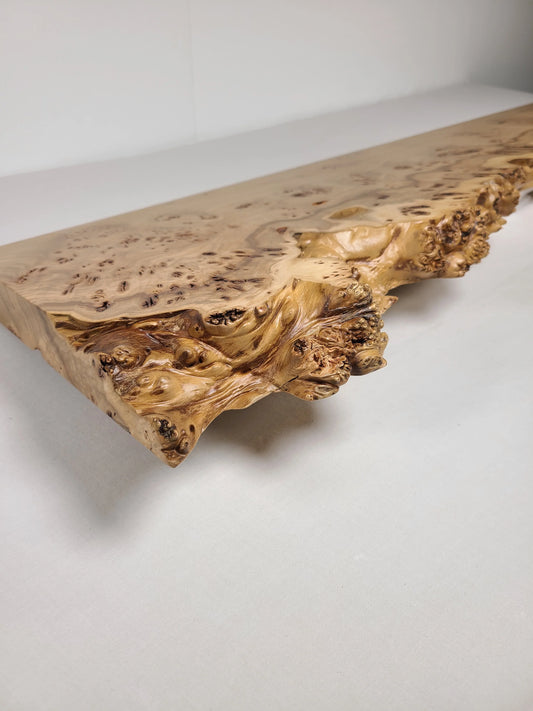 A burly edge elm floating shelf with a wavy live edge and spiny nodules, showcasing a natural wood grain and a satin smooth finish.