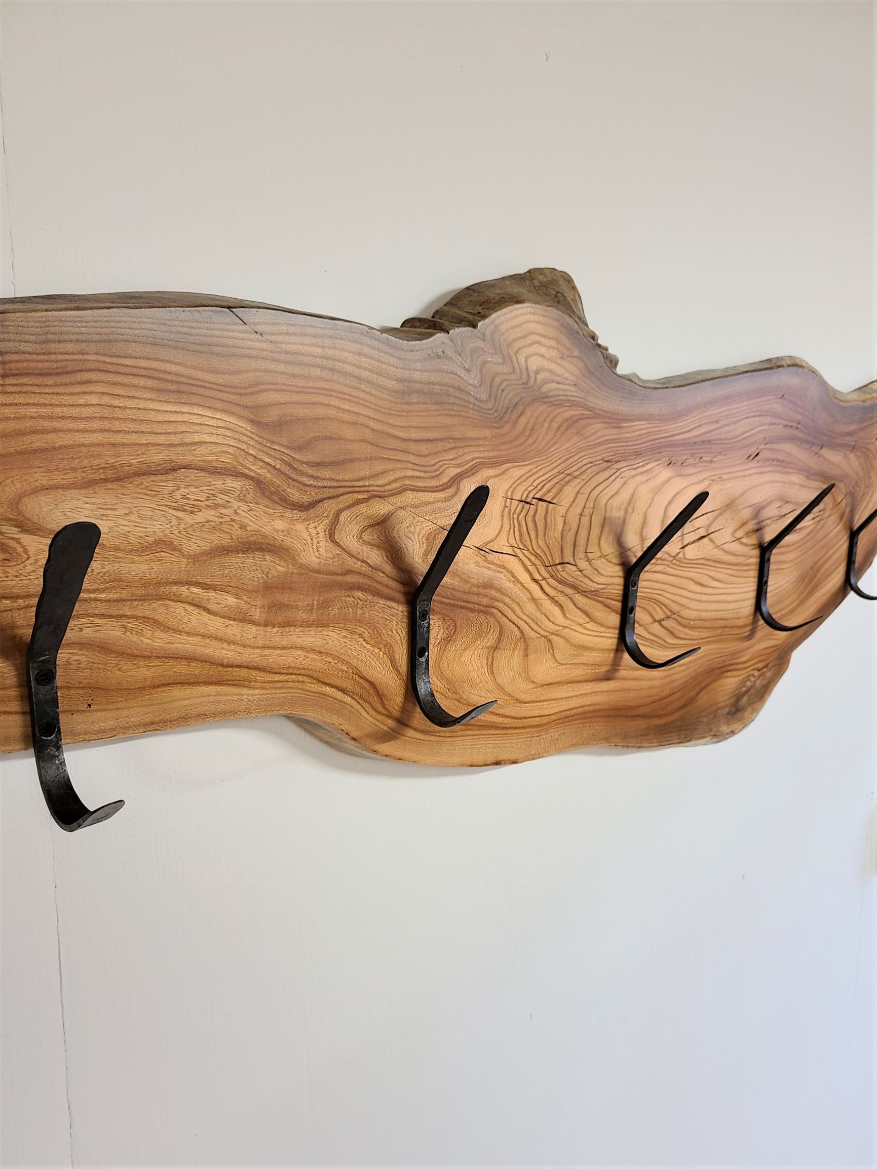 ELM HOOK BOARD / COAT RACK WITH 5 HAND FORGED STEEL DOUBLE 